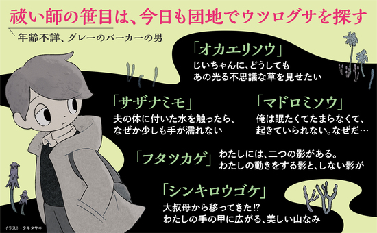 おかえり草