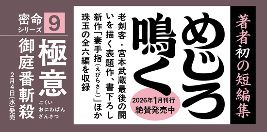 悲恋 尾張柳生剣