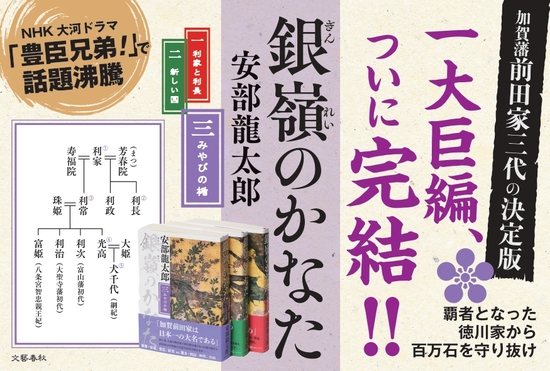銀嶺のかなた（三）
