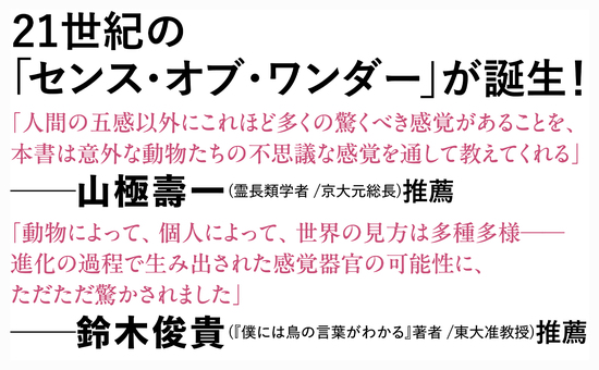 人間には12の感覚がある