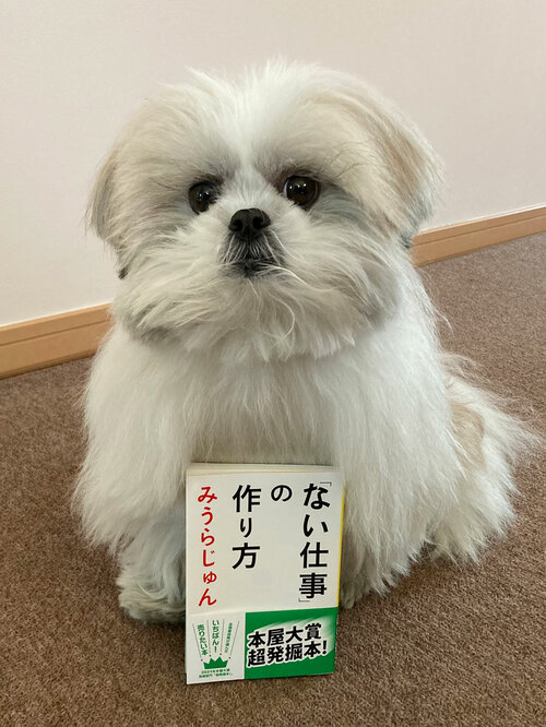 みうらじゅん まとめ売り 本21冊 DVD3枚パンフ1枚 グッズ2個