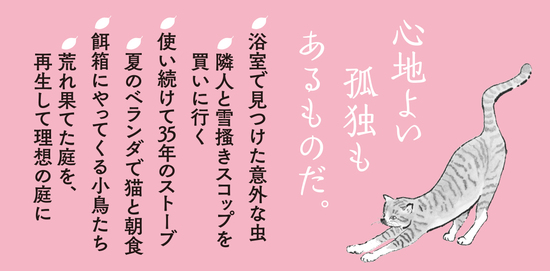 五十八歳、山の家で猫と暮らす