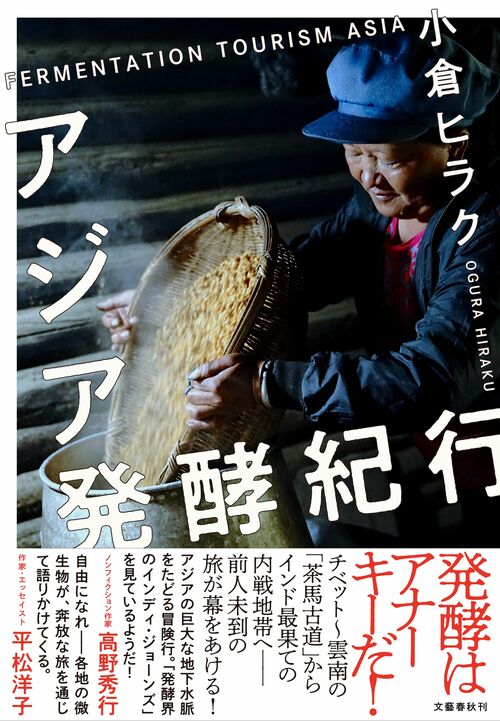 ジェレミー氏 超希少hybアガベ チタノタパラサナ 子株4つ 許可なく