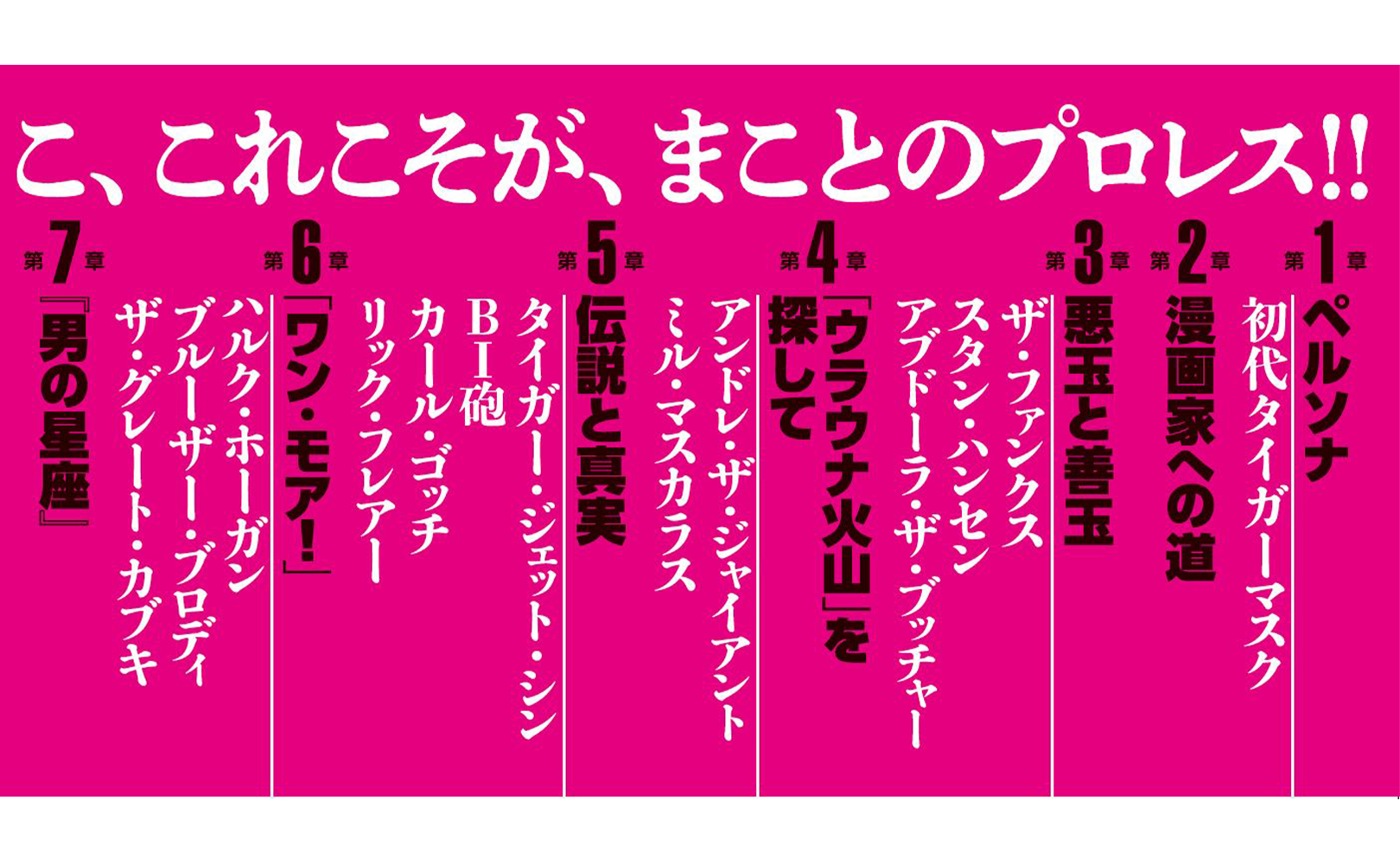 「プロレススーパースター列伝」秘録