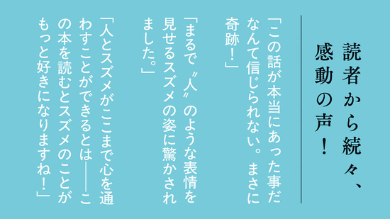 ある小さなスズメの記録