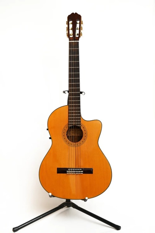 ギターは個人に寄り添ってくれる、どこか寂しいもの＜特集 作家と