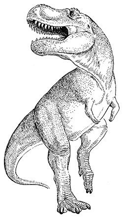 恐竜の研究 古生物学は探偵学なのです ティラノサウルスはすごい 土屋健 著 小林快次 監修 書評 本の話