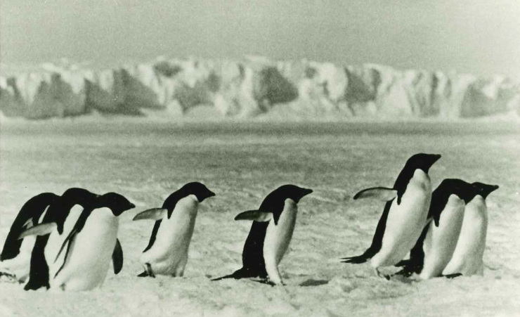 2ページ目 明治初期から太平洋戦争の終焉まで 壮大な物語を読み解く 熱源 ガイド 地図編 熱源 川越 宗一 特集 本の話