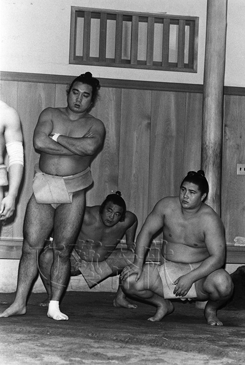 昭和の天才横綱・大鵬幸喜は、<br />誰よりも努力家だった
