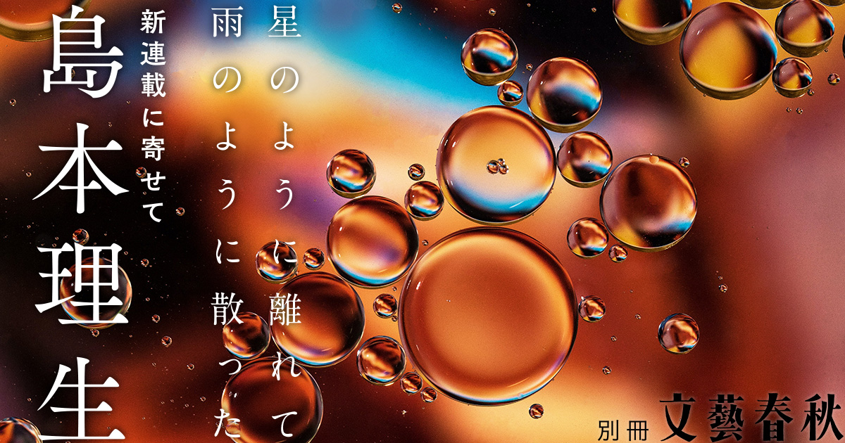 島本理生「自分がこんな小説を書くなんて数週間前まで考えもしなかった。」