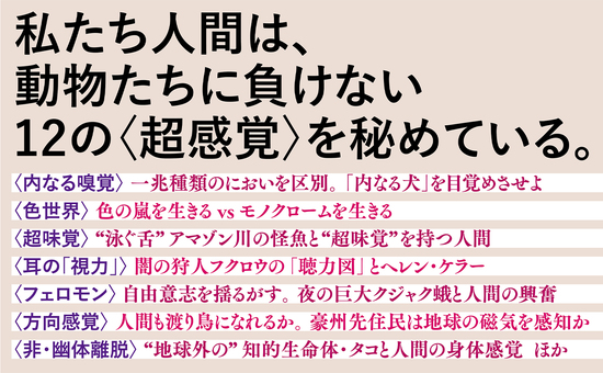 人間には12の感覚がある