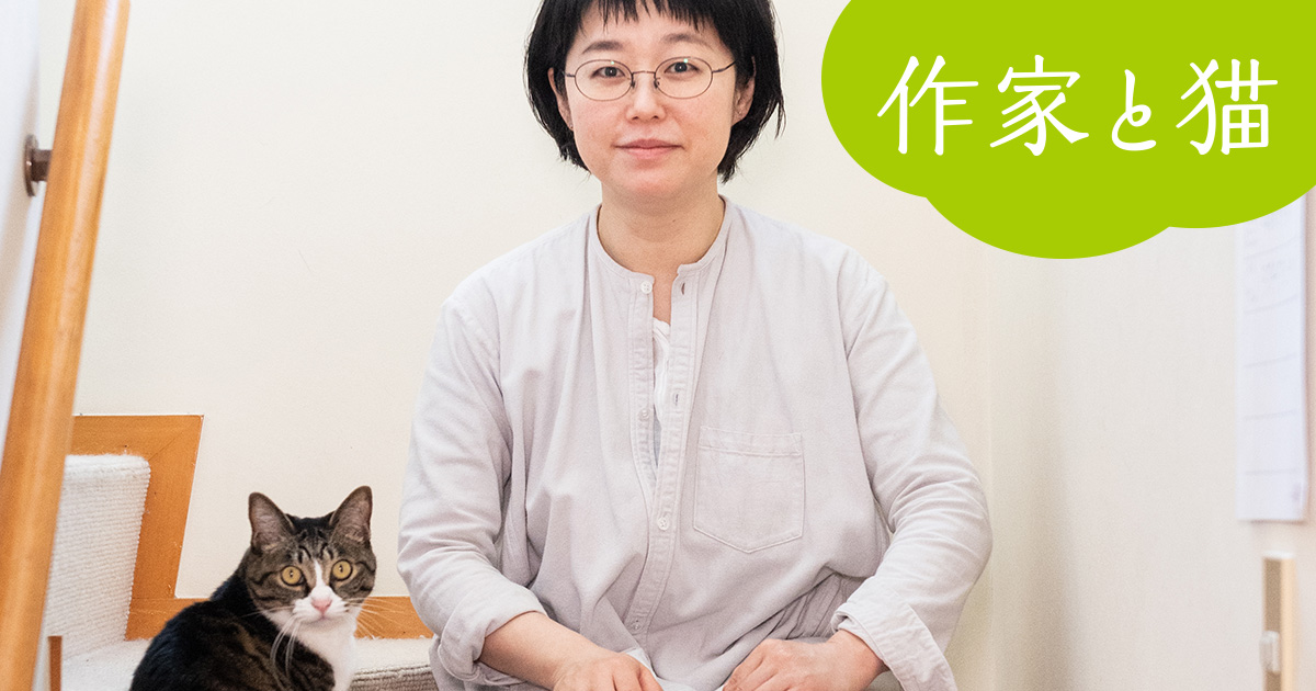 作家と猫 6 伊藤理佐 孫のような 2代目 オリジナル文庫アンソロジー 猫はわかっている 発売記念 インタビュー 対談 本の話