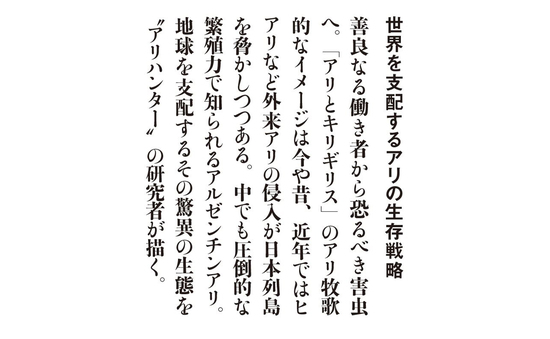 世界を支配するアリの生存戦略