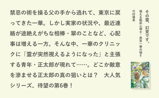 その霊、幻覚です。