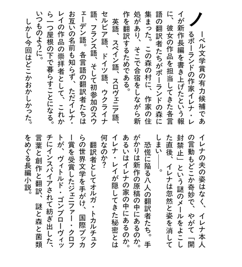 イレナ・レイの消滅