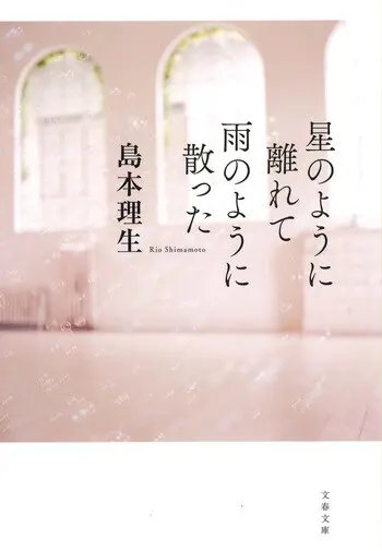 『星のように離れて雨のように散った』の書影