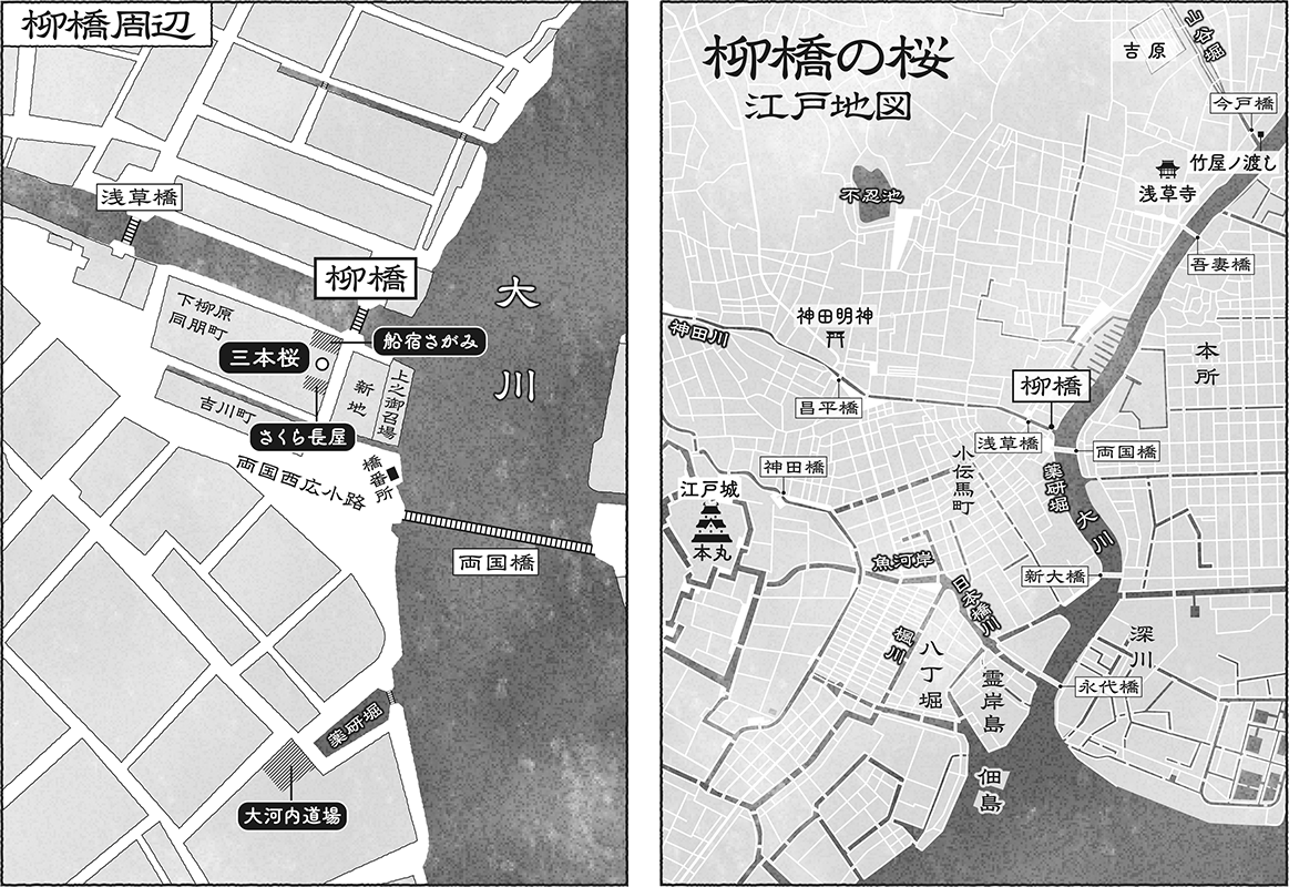 柳橋の桜地図